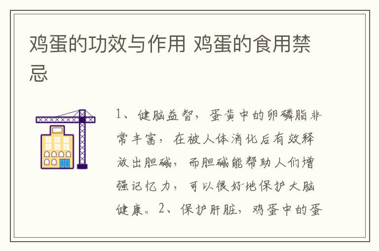 鸡蛋的功效与作用 鸡蛋的食用禁忌-九图集