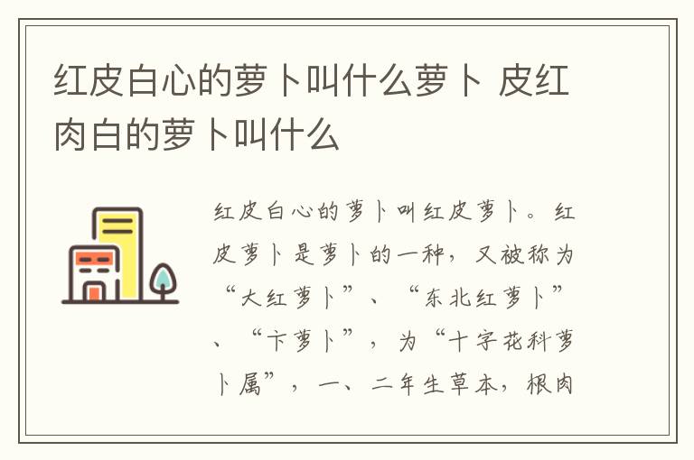 红皮白心的萝卜叫什么萝卜 皮红肉白的萝卜叫什么