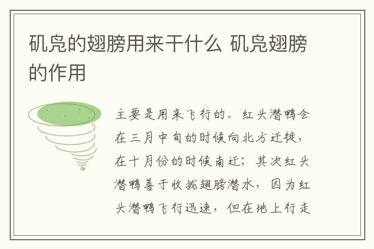 矶凫的翅膀用来干什么 矶凫翅膀的作用-九图集