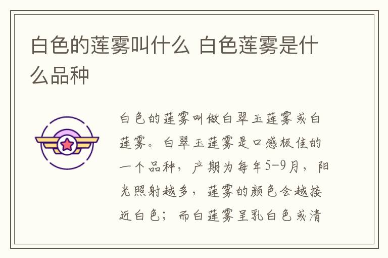 白色的莲雾叫什么 白色莲雾是什么品种-九图集