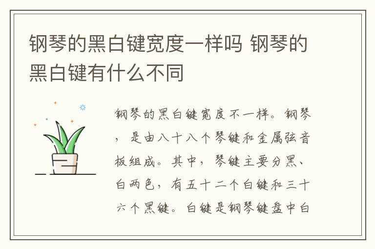 钢琴的黑白键宽度一样吗 钢琴的黑白键有什么不同-九图集