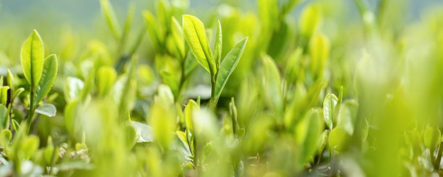 倒春寒比冬天还冷吗 倒春寒会冷多久-九图集