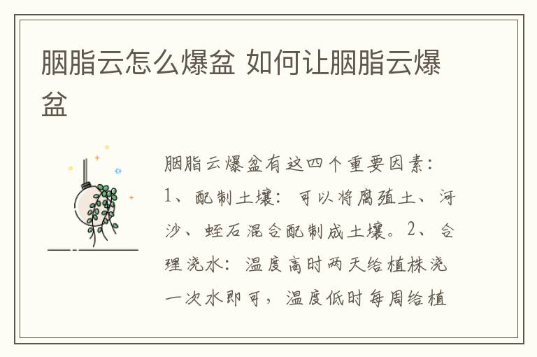 胭脂云怎么爆盆 如何让胭脂云爆盆	