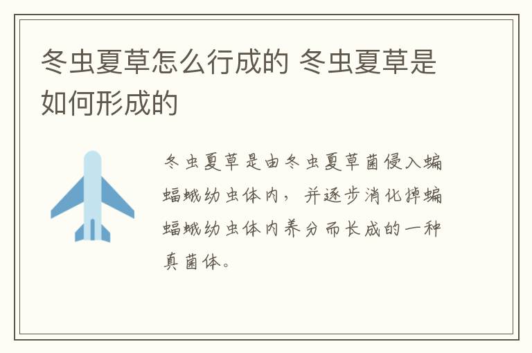 冬虫夏草怎么行成的 冬虫夏草是如何形成的-九图集