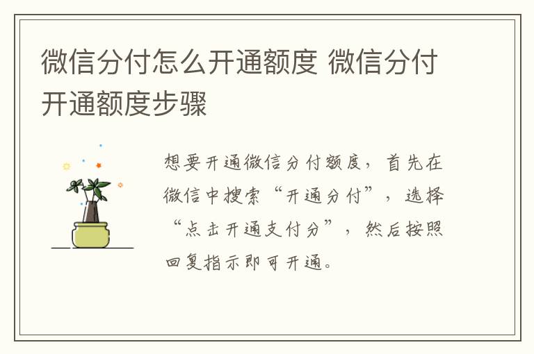微信分付怎么开通额度 微信分付开通额度步骤-九图集