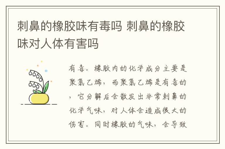 刺鼻的橡胶味有毒吗 刺鼻的橡胶味对人体有害吗-九图集