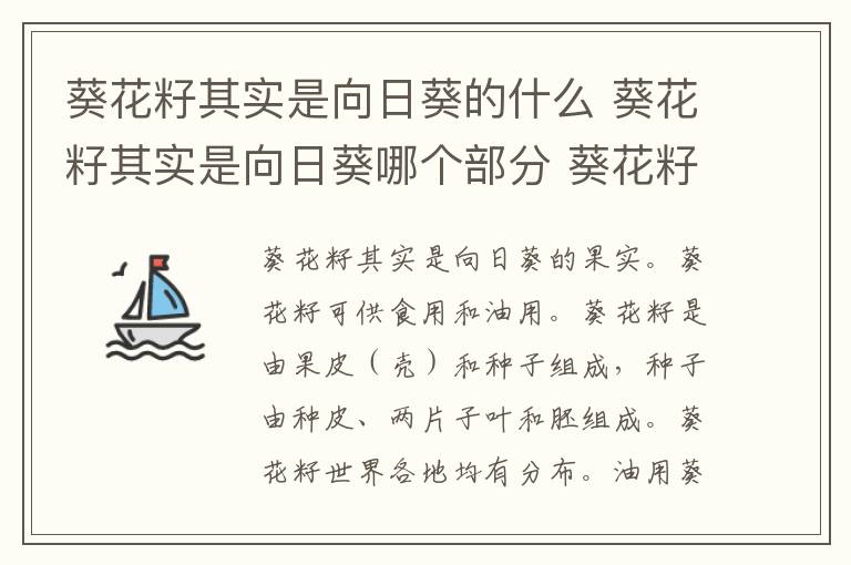 葵花籽其实是向日葵的什么 葵花籽其实是向日葵哪个部分 葵花籽其实是向日葵的什么