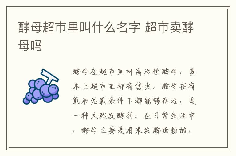 酵母超市里叫什么名字 超市卖酵母吗-九图集