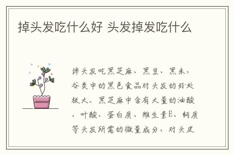 掉头发吃什么好 头发掉发吃什么-九图集