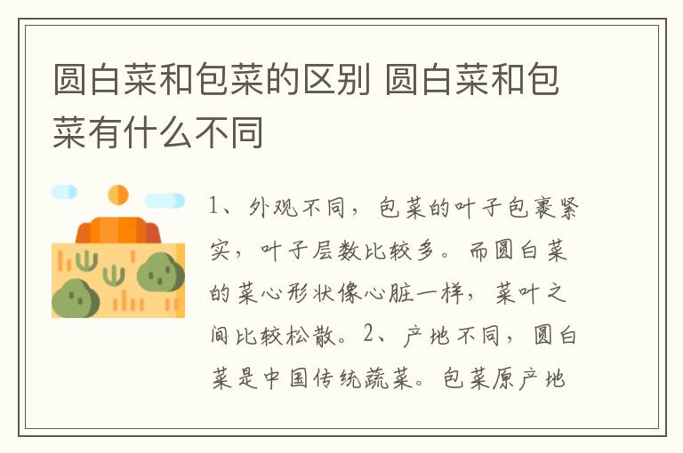 圆白菜和包菜的区别 圆白菜和包菜有什么不同-九图集