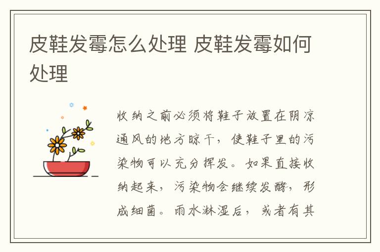 皮鞋发霉怎么处理 皮鞋发霉如何处理-九图集