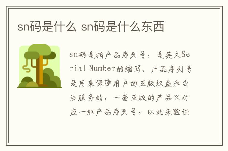 sn码是什么 sn码是什么东西