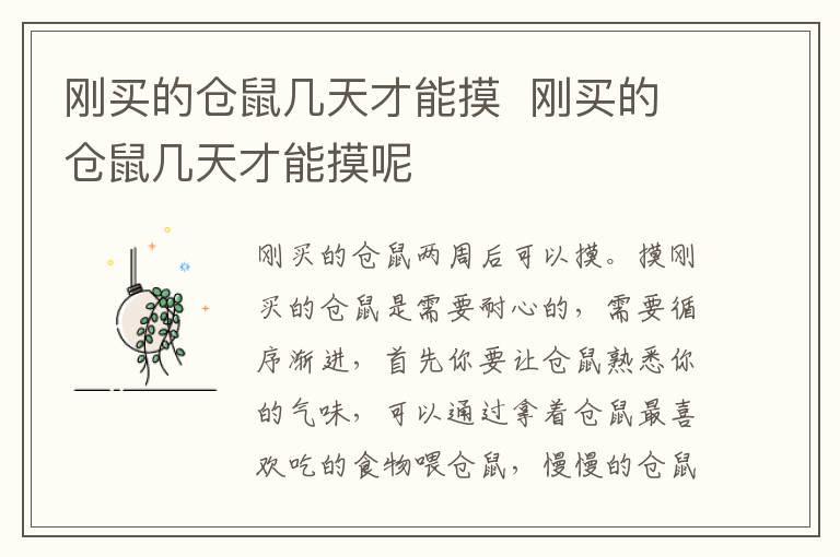 刚买的仓鼠几天才能摸  刚买的仓鼠几天才能摸呢-九图集