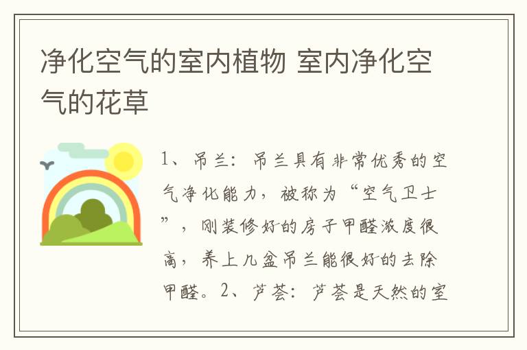 净化空气的室内植物 室内净化空气的花草