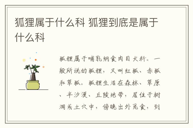 狐狸属于什么科 狐狸到底是属于什么科