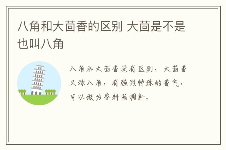 八角和大茴香的区别 大茴是不是也叫八角