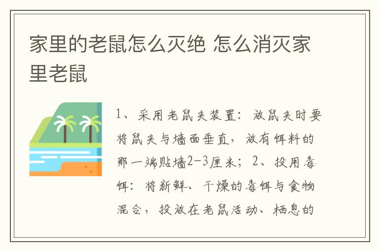 家里的老鼠怎么灭绝 怎么消灭家里老鼠