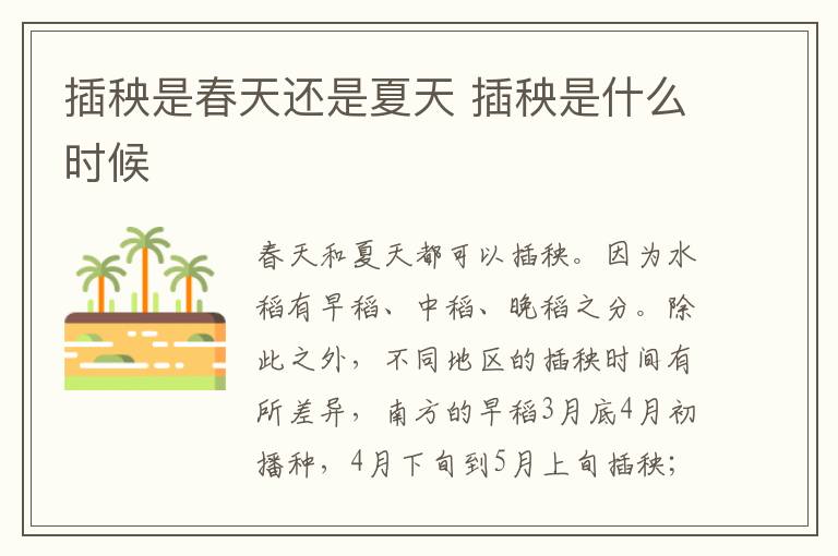 插秧是春天还是夏天 插秧是什么时候-九图集