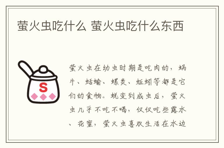 萤火虫吃什么 萤火虫吃什么东西