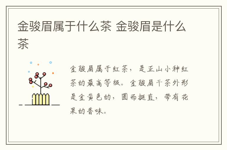 金骏眉属于什么茶 金骏眉是什么茶