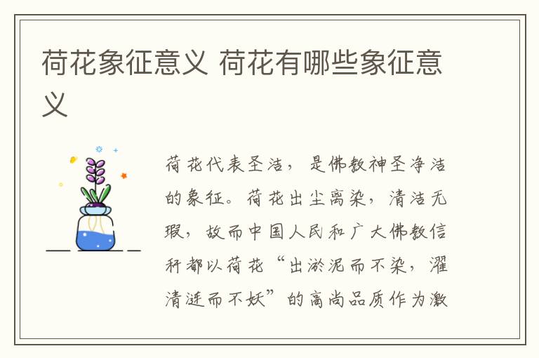 荷花象征意义 荷花有哪些象征意义-九图集