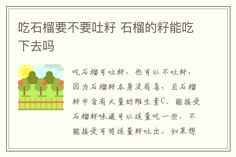 吃石榴要不要吐籽 石榴的籽能吃下去吗-九图集