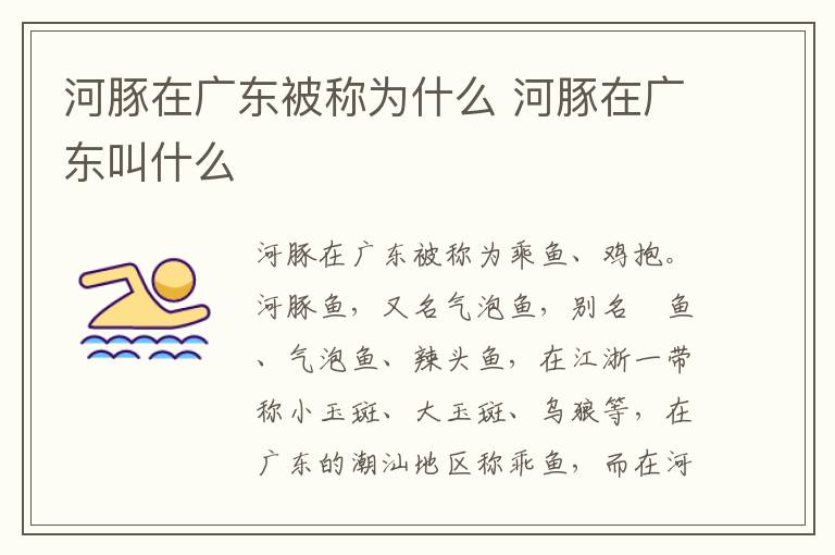 河豚在广东被称为什么 河豚在广东叫什么-九图集