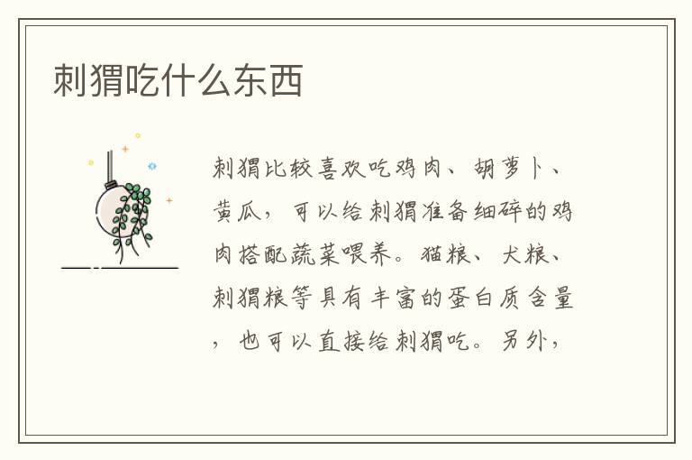 刺猬吃什么东西