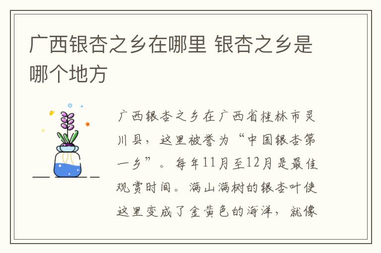 广西银杏之乡在哪里 银杏之乡是哪个地方