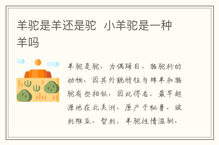 羊驼是羊还是驼  小羊驼是一种羊吗-九图集