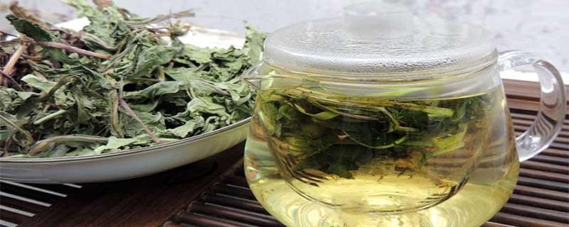 蒲公英茶可以长期饮用吗 菊花决明子蒲公英茶可以长期饮用吗-九图集