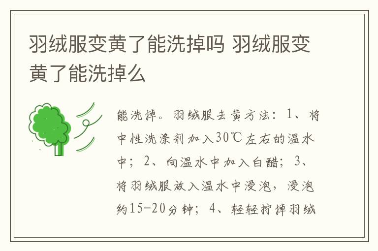 羽绒服变黄了能洗掉吗 羽绒服变黄了能洗掉么-九图集