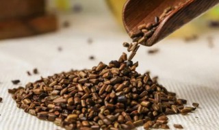 决明子的营养价值（决明子的功效）