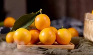 金桔吃了嘴麻是怎么回事(吃金桔嘴麻是什么原因)