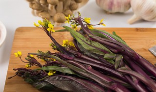 红菜苔嘌呤高吗 苔菜嘌呤含量高吗