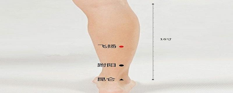 飞扬的准确位视频 飞扬的准确位置和作用视频