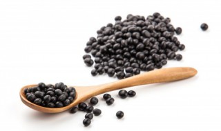黑豆煮熟能放糖吃吗 黑豆可以放糖煮吗-九图集