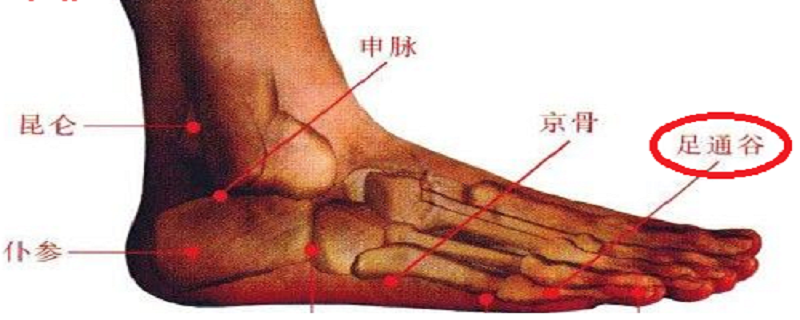 足通谷的功效与作用 足通谷的准确位置图和作用