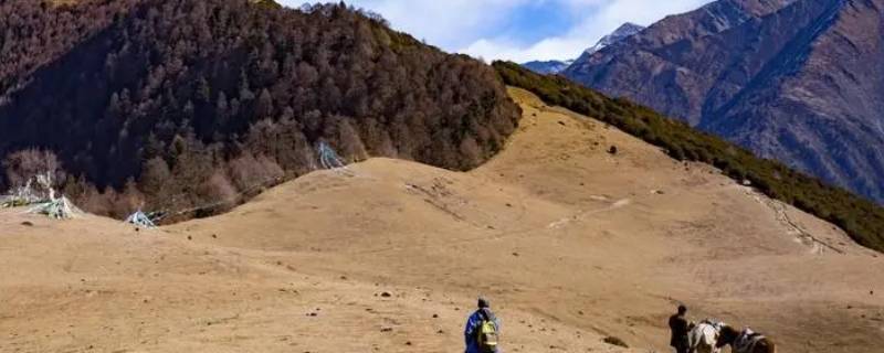 一方土多大面积（一方土是多大面积）-九图集