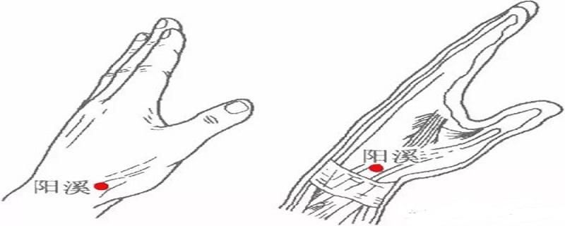 针刺阳溪准确位置图和作用 阳溪针刺多深-九图集