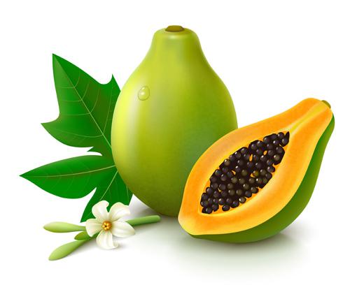 没熟的木瓜可以吃吗(没熟的木瓜可以直接吃吗)