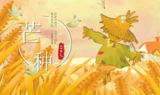 芒种节气该种什么（芒种节气小知识）-九图集