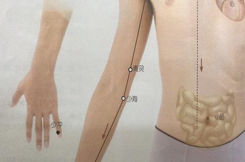 少海准确位置图和作用（少海准确位置图和作用视频）