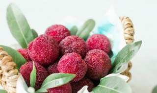 杨梅发酵了还能吃吗（杨梅发霉了还能吃）-九图集