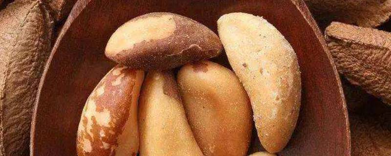 巴西坚果有哪些 巴西坚果有哪些?-九图集