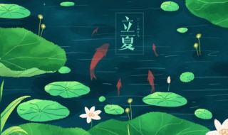 立夏养身小知识(立夏的养生小知识)