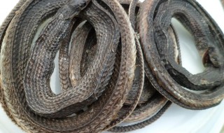 乌梢蛇的营养价值-九图集