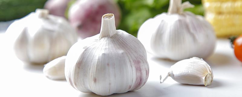 大蒜敷脚心一般敷多久 大蒜敷脚心时间长了疼怎么办