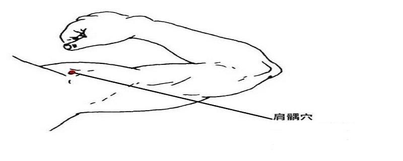 肩髃的准确位置图 肩髃的准确位置图图解