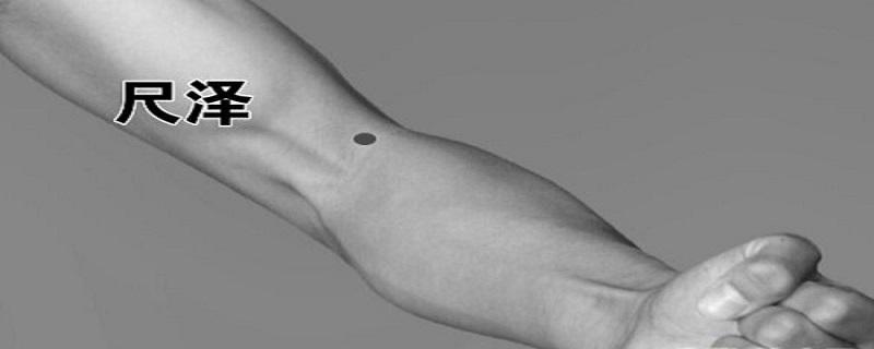 尺泽的准确位置图视频 尺泽的准确位置图和作用视频